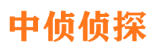 沙河侦探公司